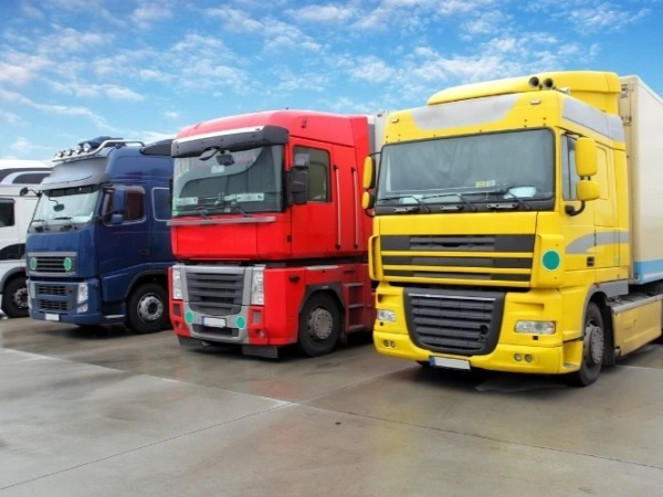 Adana Bornova Nakliye